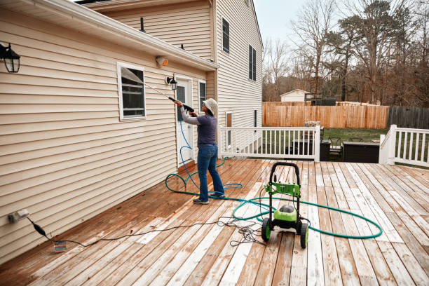 Best Affordable Pressure Washing  in De Soto, IL