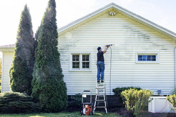 Best Residential Pressure Washing Services  in De Soto, IL