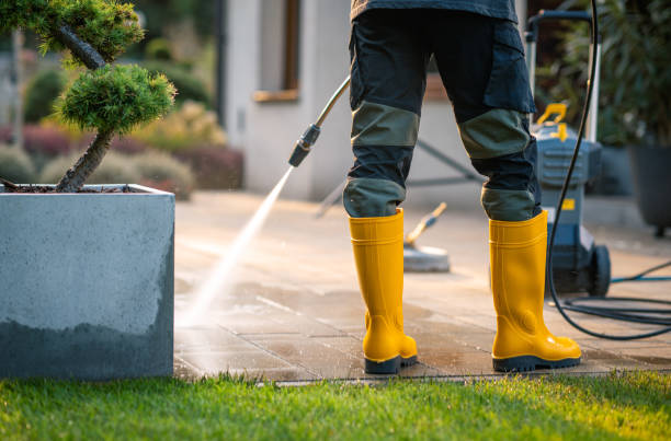 Best Garage Pressure Washing  in De Soto, IL